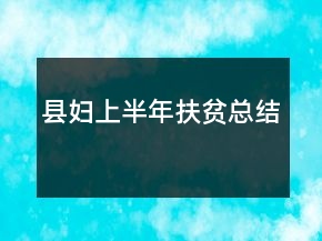縣婦上半年扶貧總結(jié)