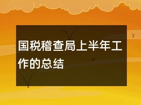 國(guó)稅稽查局上半年工作的總結(jié)