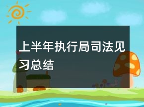 上半年執(zhí)行局司法見習總結(jié)