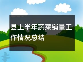 縣上半年蔬菜銷量工作情況總結(jié)