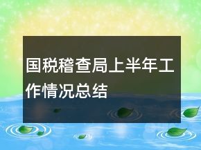 國(guó)稅稽查局上半年工作情況總結(jié)