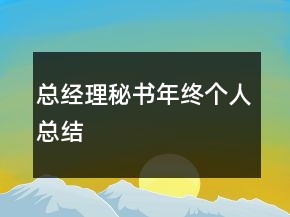 總經(jīng)理秘書年終個人總結(jié)
