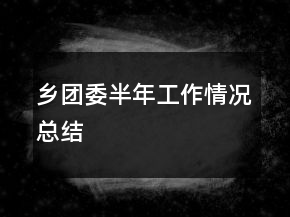 鄉(xiāng)團委半年工作情況總結(jié)