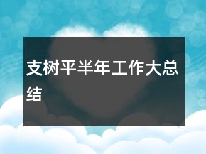 支樹平半年工作大總結(jié)
