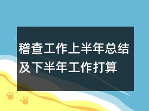 稽查工作上半年總結(jié)及下半年工作打算