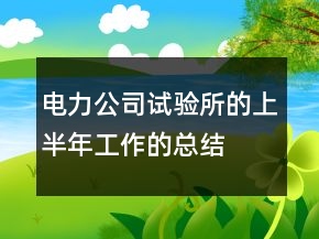 電力公司試驗所的上半年工作的總結