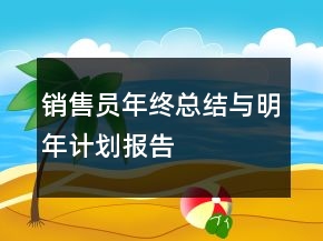 銷售員年終總結與明年計劃報告