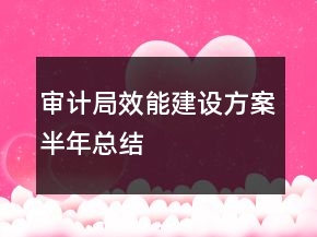 審計局效能建設方案半年總結