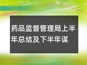 藥品監(jiān)督管理局上半年總結(jié)及下半年謀劃