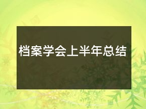 檔案學(xué)會上半年總結(jié)