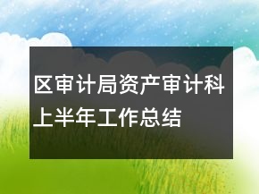 區(qū)審計局資產(chǎn)審計科上半年工作總結(jié)