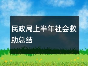 民政局上半年社會救助總結(jié)