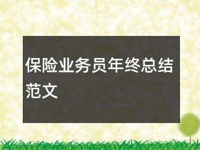 保險業(yè)務(wù)員年終總結(jié)范文