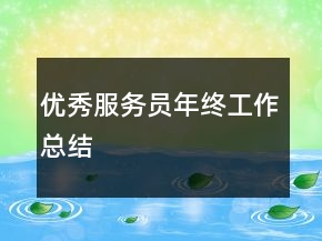 優(yōu)秀服務(wù)員年終工作總結(jié)