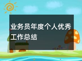 業(yè)務(wù)員年度個人優(yōu)秀工作總結(jié)