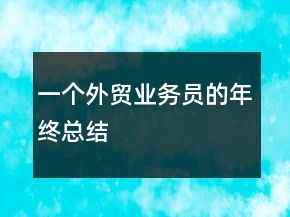 一個(gè)外貿(mào)業(yè)務(wù)員的年終總結(jié)