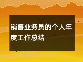銷售業(yè)務(wù)員的個(gè)人年度工作總結(jié)