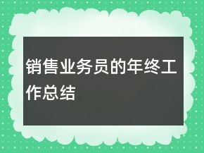銷售業(yè)務(wù)員的年終工作總結(jié)