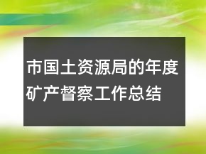 市國(guó)土資源局的年度礦產(chǎn)督察工作總結(jié)
