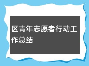 區(qū)青年志愿者行動工作總結(jié)