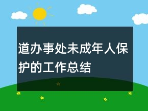 道辦事處未成年人保護(hù)的工作總結(jié)