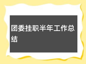 團(tuán)委掛職半年工作總結(jié)