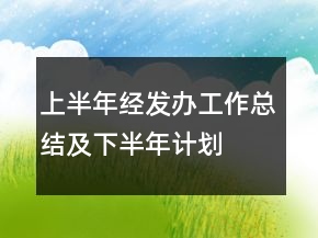 上半年經(jīng)發(fā)辦工作總結(jié)及下半年計(jì)劃