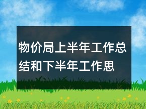 物價(jià)局上半年工作總結(jié)和下半年工作思路
