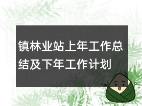 鎮(zhèn)林業(yè)站上年工作總結(jié)及下年工作計劃