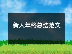 新人年終總結(jié)范文