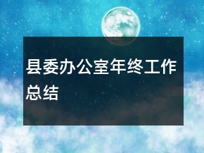縣委辦公室年終工作總結(jié)