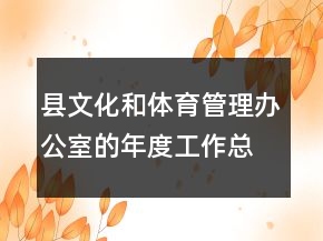 縣文化和體育管理辦公室的年度工作總結(jié)