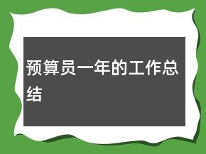 預(yù)算員一年的工作總結(jié)