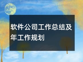軟件公司工作總結(jié)及年工作規(guī)劃