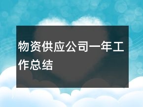 物資供應(yīng)公司一年工作總結(jié)
