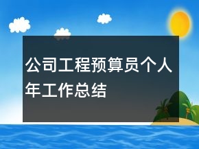 公司工程預算員個人年工作總結