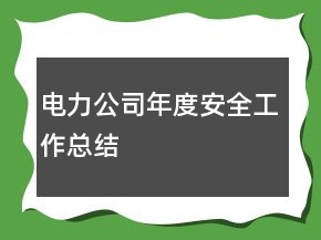 電力公司年度安全工作總結(jié)