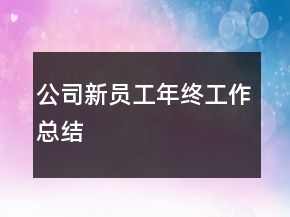 公司新員工年終工作總結(jié)