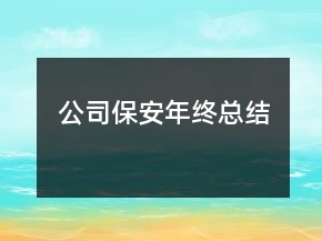 公司保安年終總結(jié)