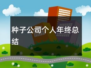 種子公司個人年終總結(jié)