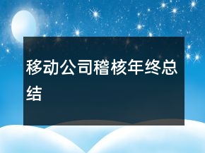 移動(dòng)公司稽核年終總結(jié)