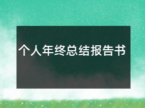 個(gè)人年終總結(jié)報(bào)告書
