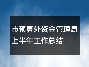 市預(yù)算外資金管理局上半年工作總結(jié)