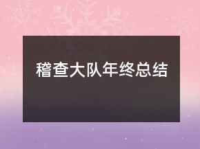 稽查大隊(duì)年終總結(jié)