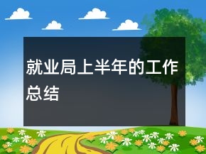 就業(yè)局上半年的工作總結(jié)