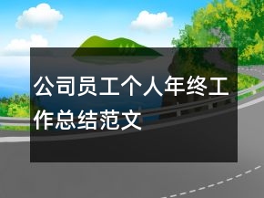 公司員工個人年終工作總結(jié)范文