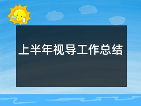 上半年視導(dǎo)工作總結(jié)