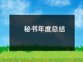 秘書年度總結(jié)