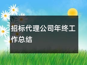 招標(biāo)代理公司年終工作總結(jié)