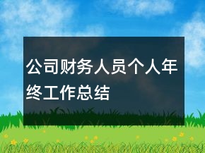 公司財務(wù)人員個人年終工作總結(jié)